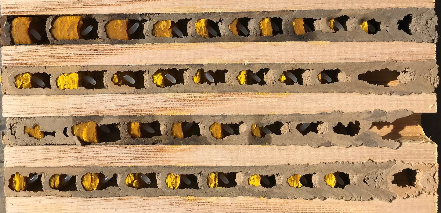 Foto: LukaBE, CC BY-SA 4.0