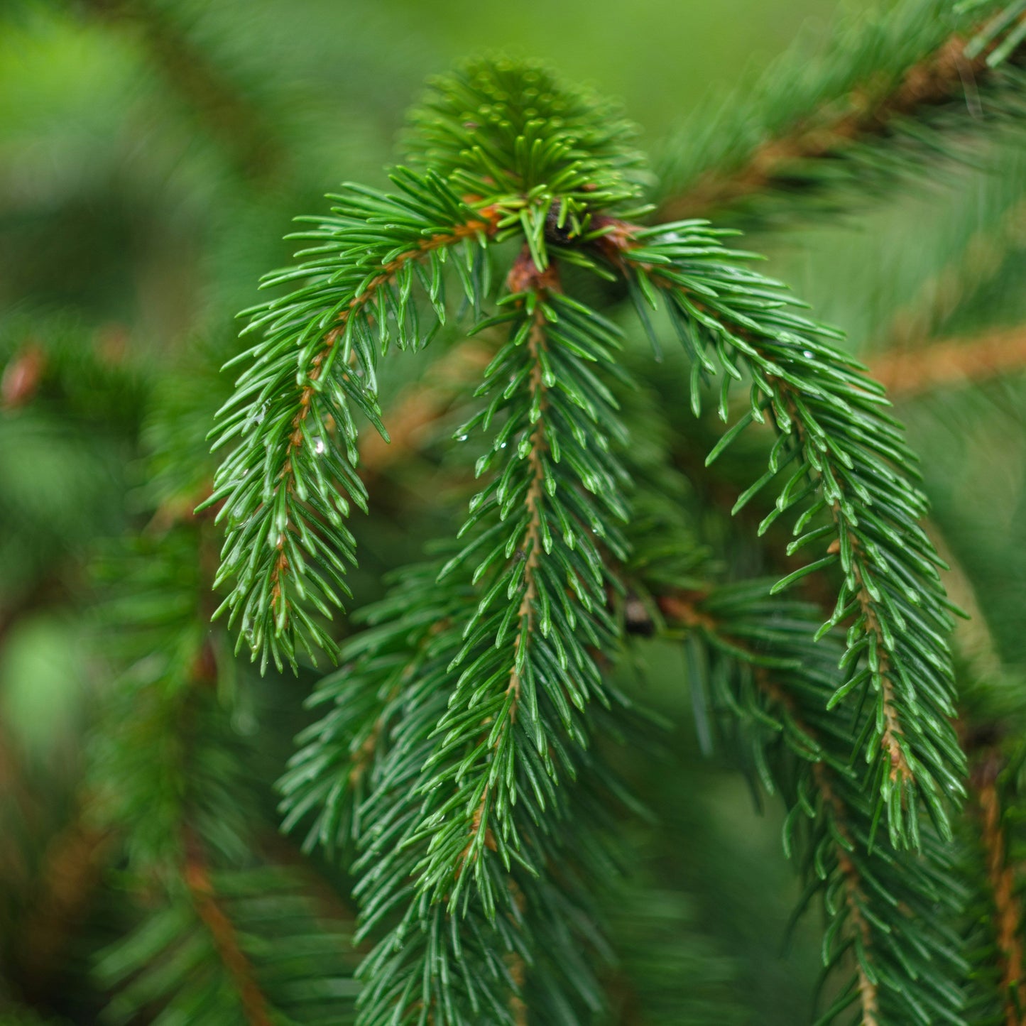 Foto von Andrew auf Unsplash