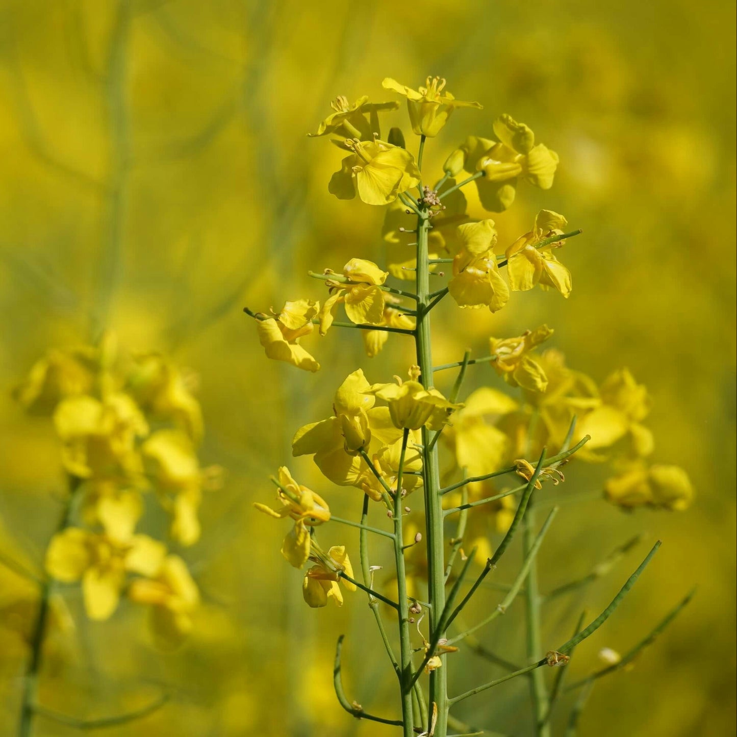 Foto von Linus Geffarth auf Unsplash