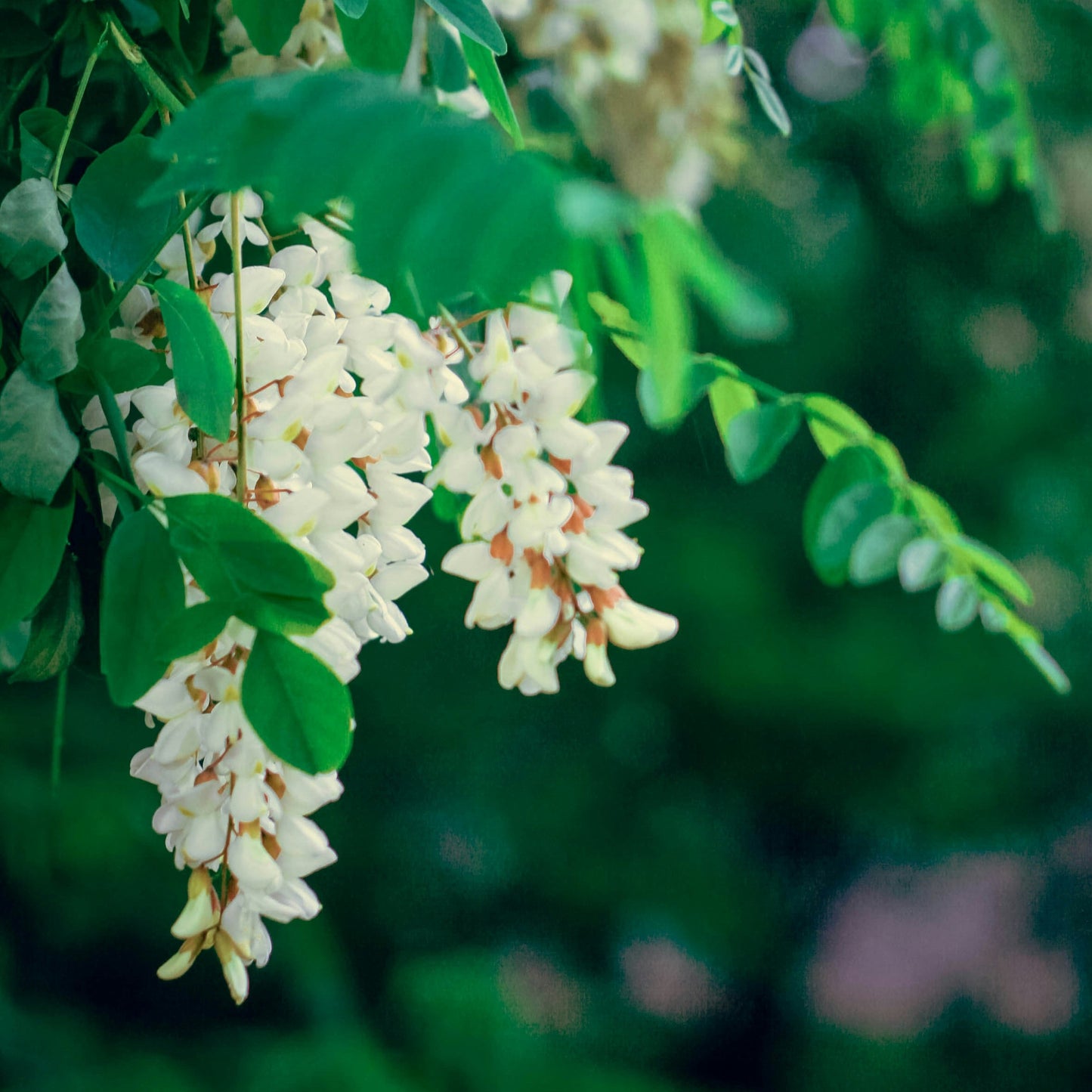 Foto von Anna Zakharova auf Unsplash
      