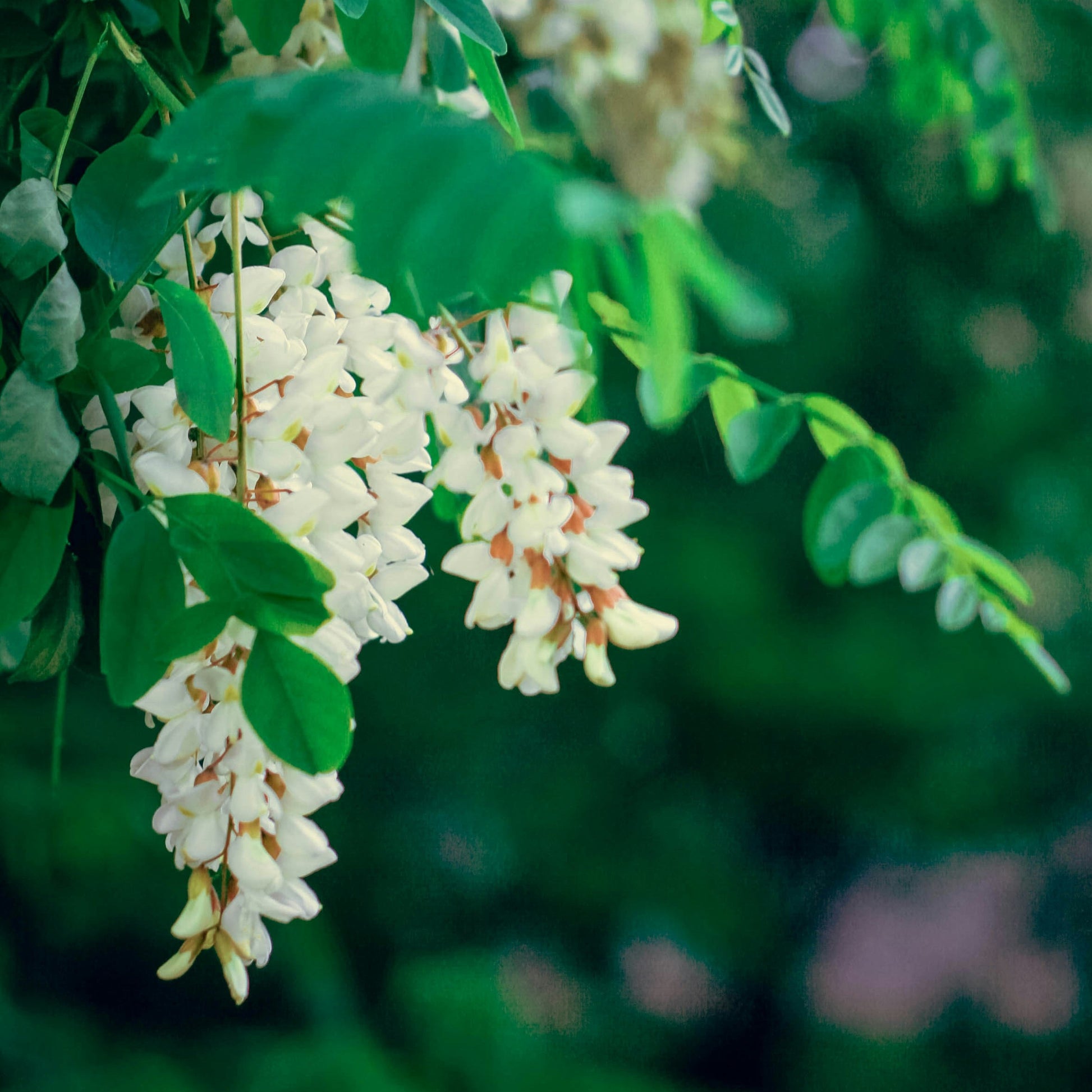 Foto von Anna Zakharova auf Unsplash
      