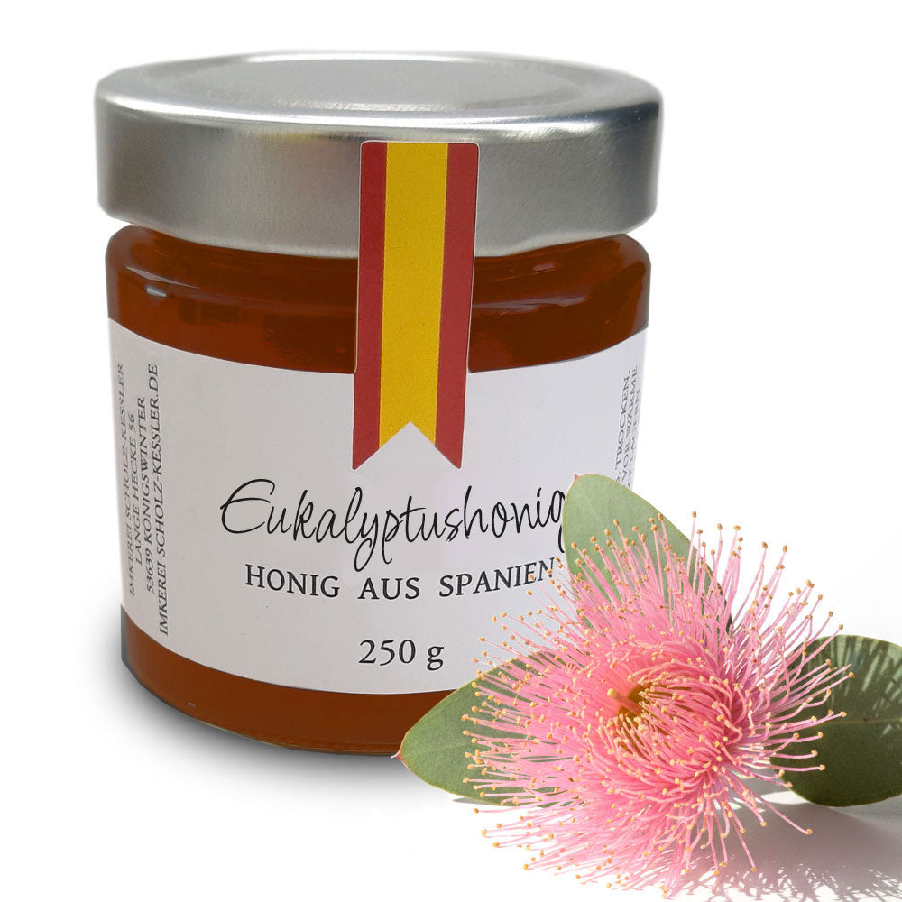 Eukalyptus - Honig aus Spanien